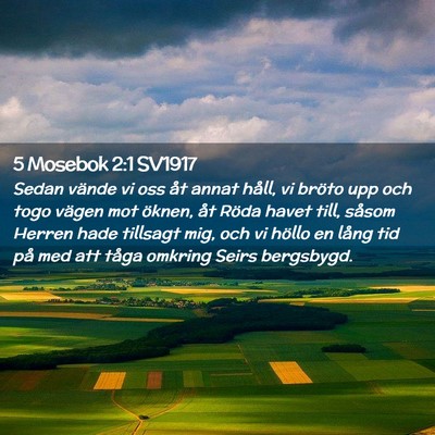 Picture 02 - 5 Mosebok 2:1 SV1917 - Sedan vände vi oss åt annat håll, vi bröto - Bible Verse Picture