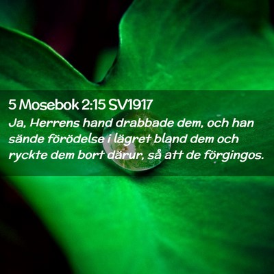 Picture 02 - 5 Mosebok 2:15 SV1917 - Ja, Herrens hand drabbade dem, och han sände - Bible Verse Picture