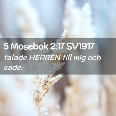 Picture 02 - 5 Mosebok 2:17 SV1917 - talade HERREN till mig och - Bible Verse Picture
