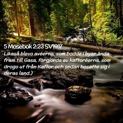 Picture 02 - 5 Mosebok 2:23 SV1917 - Likaså blevo avéerna, som bodde i byar ända - Bible Verse Picture
