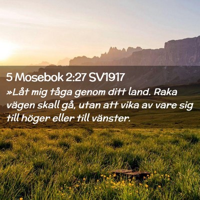 Picture 02 - 5 Mosebok 2:27 SV1917 - »Låt mig tåga genom ditt land. Raka vägen - Bible Verse Picture