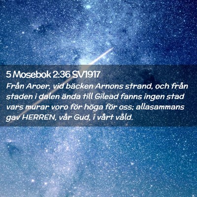 Picture 02 - 5 Mosebok 2:36 SV1917 - Från Aroer, vid bäcken Arnons strand, och från - Bible Verse Picture