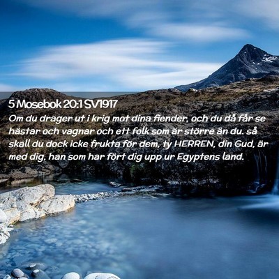 Picture 02 - 5 Mosebok 20:1 SV1917 - Om du drager ut i krig mot dina fiender, och du - Bible Verse Picture