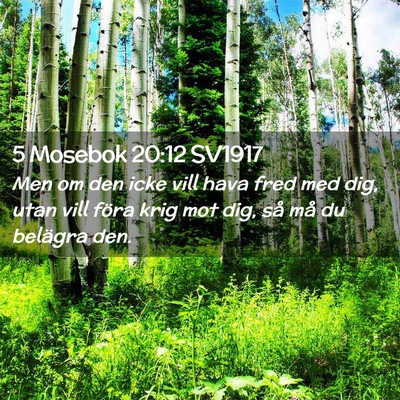 Picture 02 - 5 Mosebok 20:12 SV1917 - Men om den icke vill hava fred med dig, utan vill - Bible Verse Picture