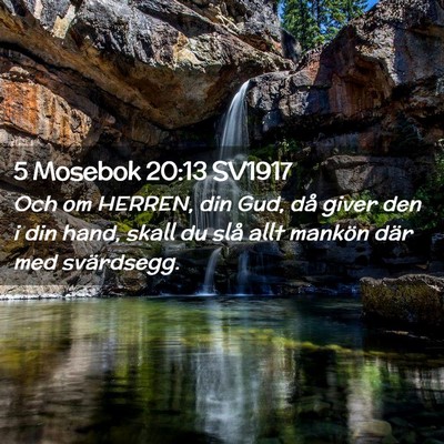 Picture 02 - 5 Mosebok 20:13 SV1917 - Och om HERREN, din Gud, då giver den i din hand, - Bible Verse Picture