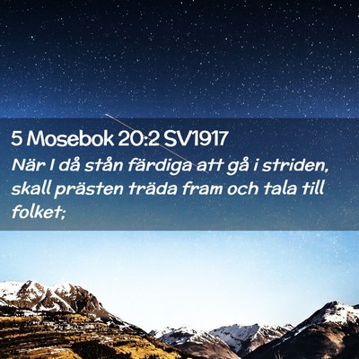 Picture 02 - 5 Mosebok 20:2 SV1917 - När I då stån färdiga att gå i striden, - Bible Verse Picture