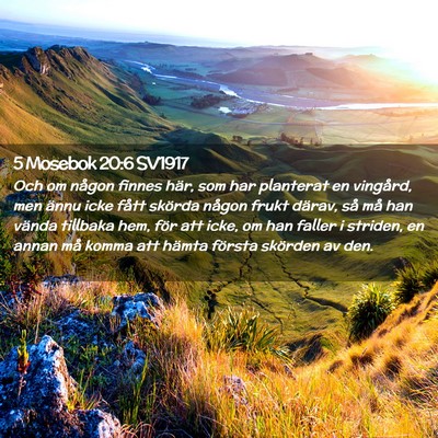Picture 02 - 5 Mosebok 20:6 SV1917 - Och om någon finnes här, som har planterat en - Bible Verse Picture