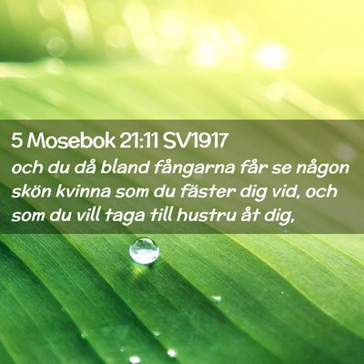 Picture 02 - 5 Mosebok 21:11 SV1917 - och du då bland fångarna får se någon skön - Bible Verse Picture