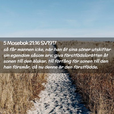 Picture 02 - 5 Mosebok 21:16 SV1917 - så får mannen icke, när han åt sina söner - Bible Verse Picture