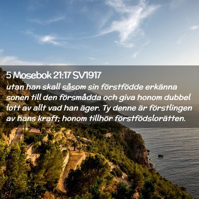 Picture 02 - 5 Mosebok 21:17 SV1917 - utan han skall såsom sin förstfödde erkänna - Bible Verse Picture