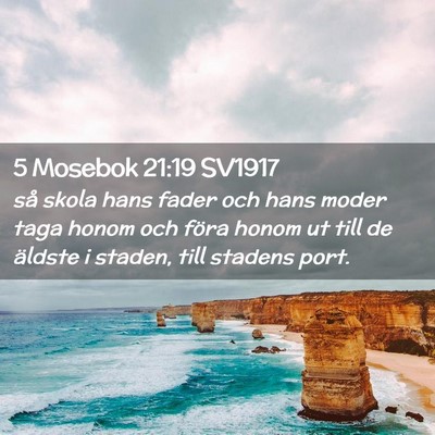 Picture 02 - 5 Mosebok 21:19 SV1917 - så skola hans fader och hans moder taga honom - Bible Verse Picture