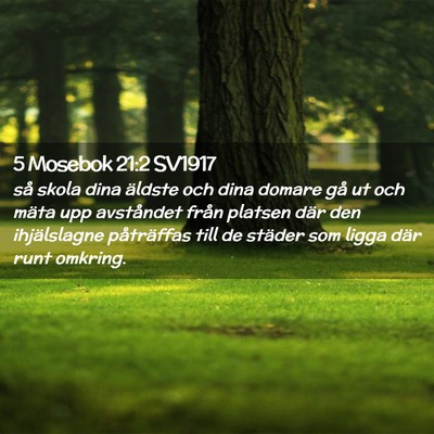 Picture 02 - 5 Mosebok 21:2 SV1917 - så skola dina äldste och dina domare gå ut och - Bible Verse Picture