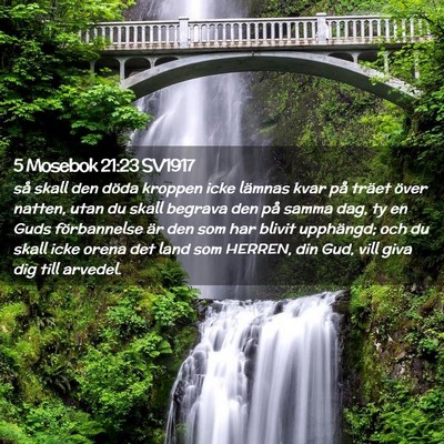 Picture 02 - 5 Mosebok 21:23 SV1917 - så skall den döda kroppen icke lämnas kvar på - Bible Verse Picture