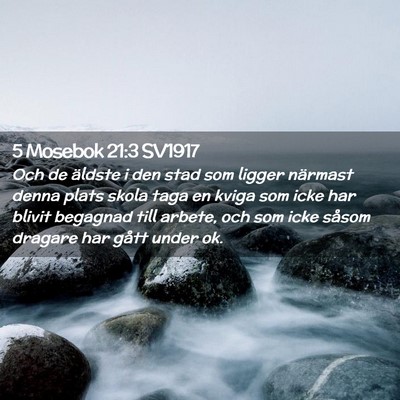 Picture 02 - 5 Mosebok 21:3 SV1917 - Och de äldste i den stad som ligger närmast - Bible Verse Picture