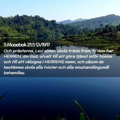 Picture 02 - 5 Mosebok 21:5 SV1917 - Och prästerna, Levi söner, skola träda fram, - Bible Verse Picture