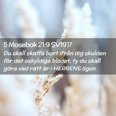 Picture 02 - 5 Mosebok 21:9 SV1917 - Du skall skaffa bort ifrån dig skulden för det - Bible Verse Picture