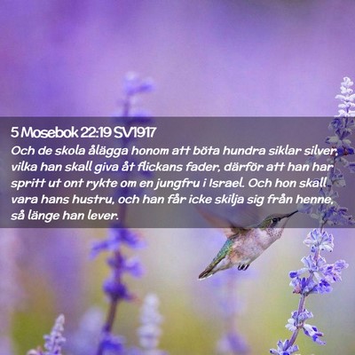 Picture 02 - 5 Mosebok 22:19 SV1917 - Och de skola ålägga honom att böta hundra - Bible Verse Picture