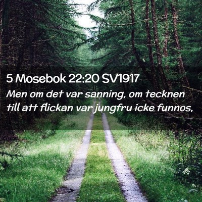 Picture 02 - 5 Mosebok 22:20 SV1917 - Men om det var sanning, om tecknen till att - Bible Verse Picture