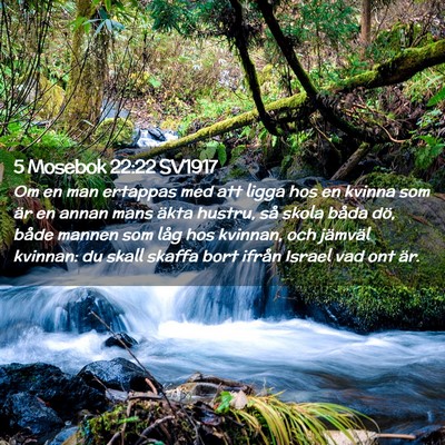 Picture 02 - 5 Mosebok 22:22 SV1917 - Om en man ertappas med att ligga hos en kvinna - Bible Verse Picture