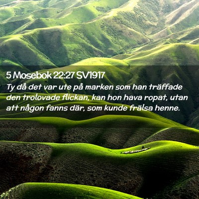 Picture 02 - 5 Mosebok 22:27 SV1917 - Ty då det var ute på marken som han träffade - Bible Verse Picture
