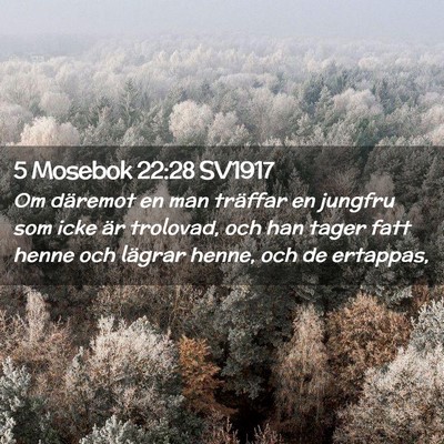 Picture 02 - 5 Mosebok 22:28 SV1917 - Om däremot en man träffar en jungfru som icke - Bible Verse Picture
