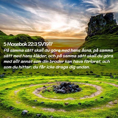 Picture 02 - 5 Mosebok 22:3 SV1917 - På samma sätt skall du göra med hans åsna, - Bible Verse Picture