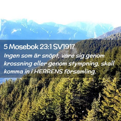 Picture 02 - 5 Mosebok 23:1 SV1917 - Ingen som är snöpt, vare sig genom krossning - Bible Verse Picture