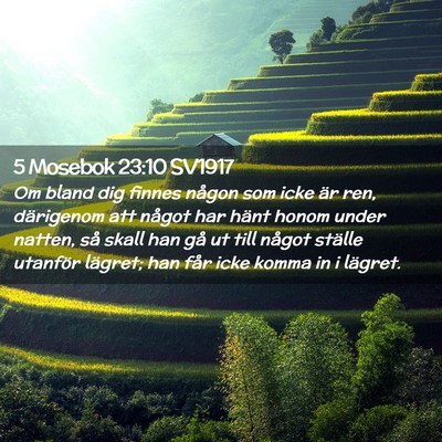 Picture 02 - 5 Mosebok 23:10 SV1917 - Om bland dig finnes någon som icke är ren, - Bible Verse Picture