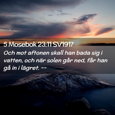 Picture 02 - 5 Mosebok 23:11 SV1917 - Och mot aftonen skall han bada sig i vatten, och - Bible Verse Picture