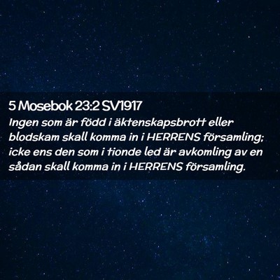 Picture 02 - 5 Mosebok 23:2 SV1917 - Ingen som är född i äktenskapsbrott eller - Bible Verse Picture