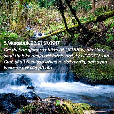 Picture 02 - 5 Mosebok 23:21 SV1917 - Om du har gjort ett löfte åt HERREN, din Gud, - Bible Verse Picture