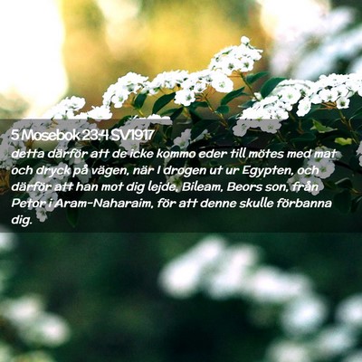 Picture 02 - 5 Mosebok 23:4 SV1917 - detta därför att de icke kommo eder till mötes - Bible Verse Picture