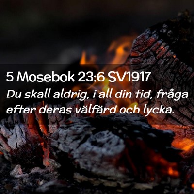 Picture 02 - 5 Mosebok 23:6 SV1917 - Du skall aldrig, i all din tid, fråga efter - Bible Verse Picture