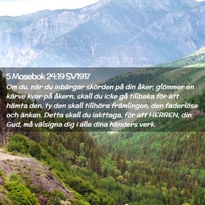 Picture 02 - 5 Mosebok 24:19 SV1917 - Om du, när du inbärgar skörden på din åker, - Bible Verse Picture
