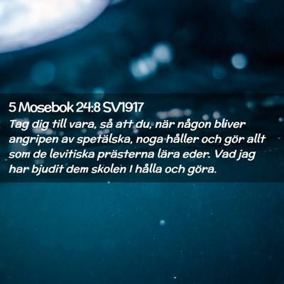 Picture 02 - 5 Mosebok 24:8 SV1917 - Tag dig till vara, så att du, när någon bliver - Bible Verse Picture