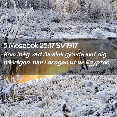 Picture 02 - 5 Mosebok 25:17 SV1917 - Kom ihåg vad Amalek gjorde mot dig på vägen, - Bible Verse Picture