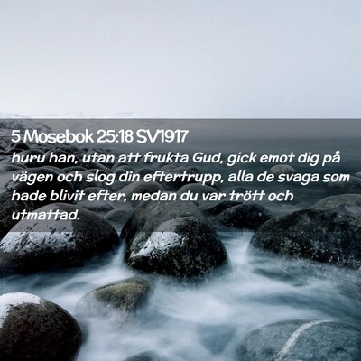 Picture 02 - 5 Mosebok 25:18 SV1917 - huru han, utan att frukta Gud, gick emot dig på - Bible Verse Picture
