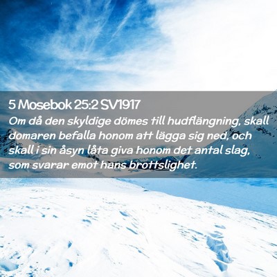 Picture 02 - 5 Mosebok 25:2 SV1917 - Om då den skyldige dömes till hudflängning, - Bible Verse Picture