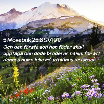 Picture 02 - 5 Mosebok 25:6 SV1917 - Och den förste son hon föder skall upptaga den - Bible Verse Picture