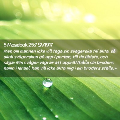 Picture 02 - 5 Mosebok 25:7 SV1917 - Men om mannen icke vill taga sin svägerska till - Bible Verse Picture