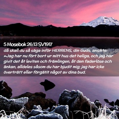 Picture 02 - 5 Mosebok 26:13 SV1917 - då skall du så säga inför HERRENS, din Guds, - Bible Verse Picture