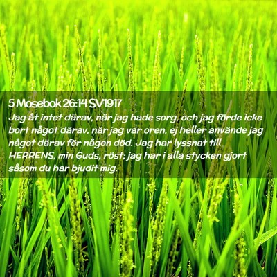 Picture 02 - 5 Mosebok 26:14 SV1917 - Jag åt intet därav, när jag hade sorg, och jag - Bible Verse Picture