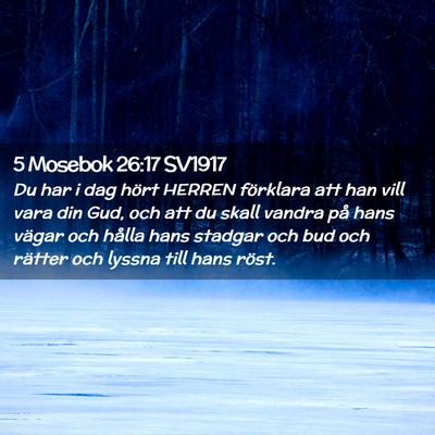 Picture 02 - 5 Mosebok 26:17 SV1917 - Du har i dag hört HERREN förklara att han vill - Bible Verse Picture