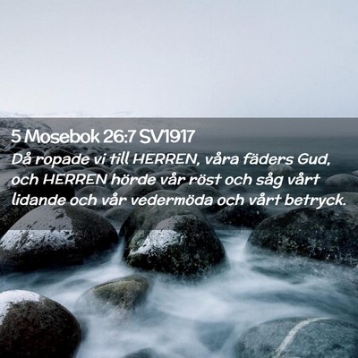 Picture 02 - 5 Mosebok 26:7 SV1917 - Då ropade vi till HERREN, våra fäders Gud, och - Bible Verse Picture