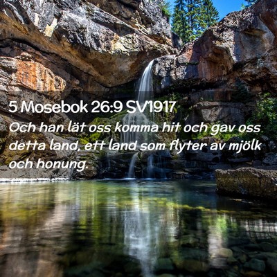 Picture 02 - 5 Mosebok 26:9 SV1917 - Och han lät oss komma hit och gav oss detta - Bible Verse Picture