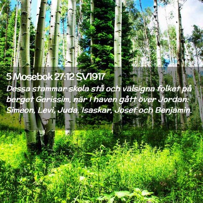 Picture 02 - 5 Mosebok 27:12 SV1917 - Dessa stammar skola stå och välsigna folket på - Bible Verse Picture