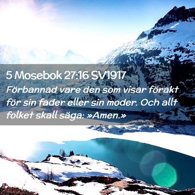 Picture 02 - 5 Mosebok 27:16 SV1917 - Förbannad vare den som visar förakt för sin - Bible Verse Picture