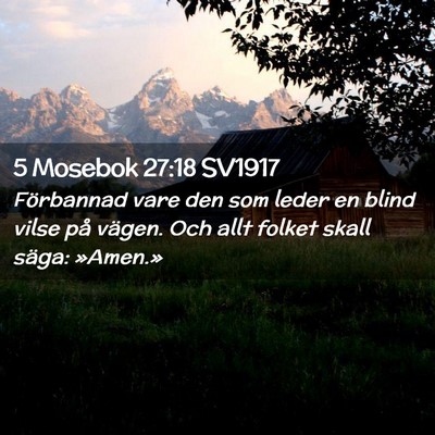 Picture 02 - 5 Mosebok 27:18 SV1917 - Förbannad vare den som leder en blind vilse på - Bible Verse Picture