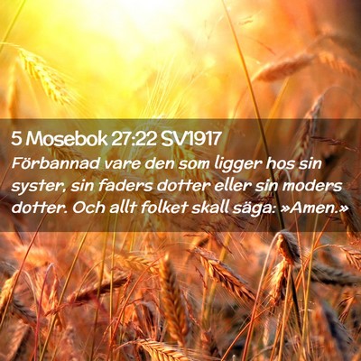 Picture 02 - 5 Mosebok 27:22 SV1917 - Förbannad vare den som ligger hos sin syster, - Bible Verse Picture