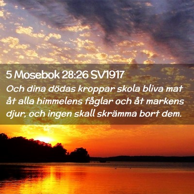 Picture 02 - 5 Mosebok 28:26 SV1917 - Och dina dödas kroppar skola bliva mat åt alla - Bible Verse Picture